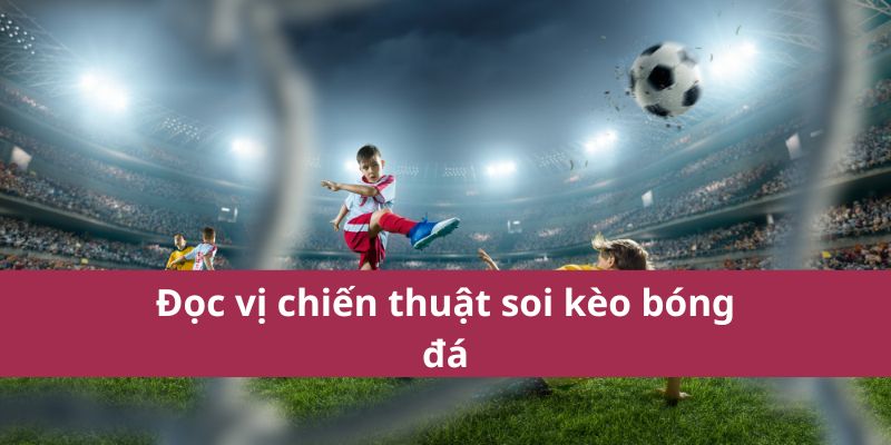 Chiến Thuật Soi Kèo Bóng Đá Hiệu Quả Cho Người Mới Chơi 2025 3 Đọc vị chiến thuật soi kèo bóng đá