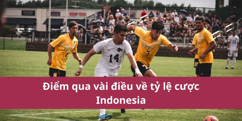 Tỷ Lệ Cược Indonesia 2025: Những Điều Cần Biết Khi Cược 2 Điểm qua vài điều về tỷ lệ cược Indonesia